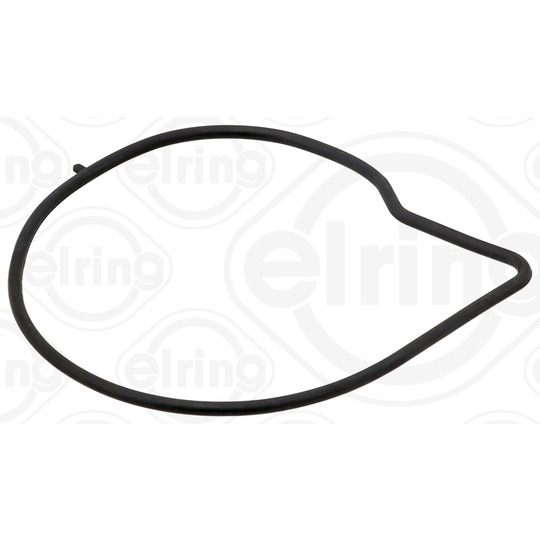 527.420 - Gasket, water pump 