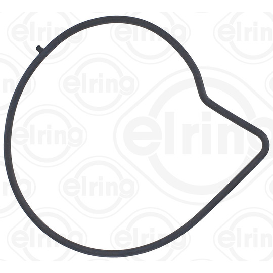 527.420 - Gasket, water pump 