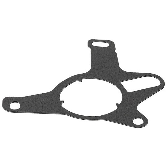 785.710 - Gasket, vacuum pump 