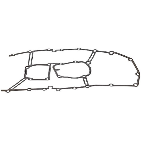 919.899 - Gasket, timing case 