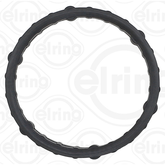 553.500 - Gasket, timing case 