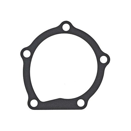 925.170 - Gasket, water pump 