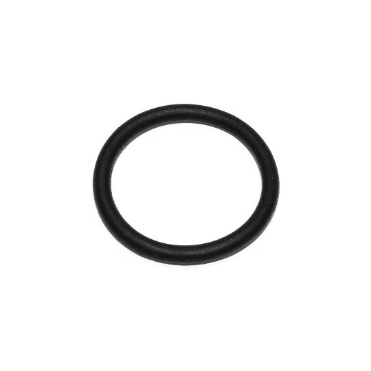 163.480 - Seal Ring 