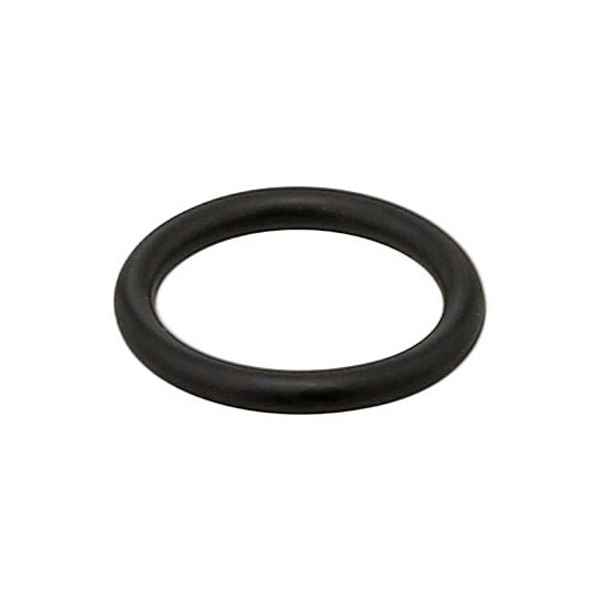 429.450 - Seal Ring 