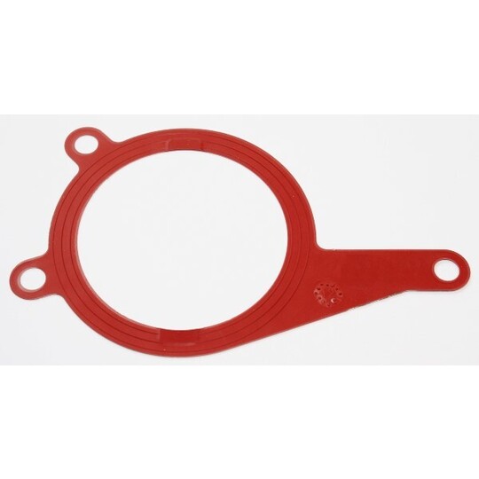 254.250 - Gasket, vacuum pump 