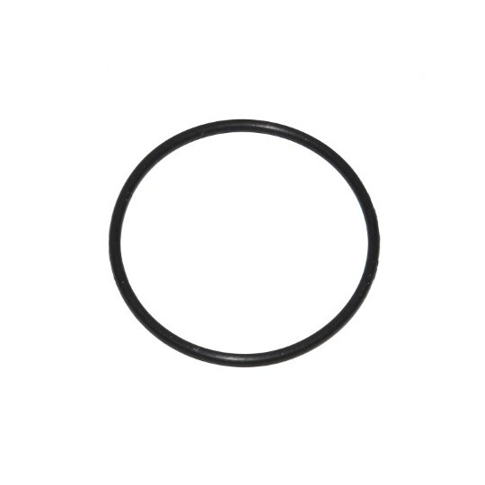 003.520 - Seal Ring, charger 