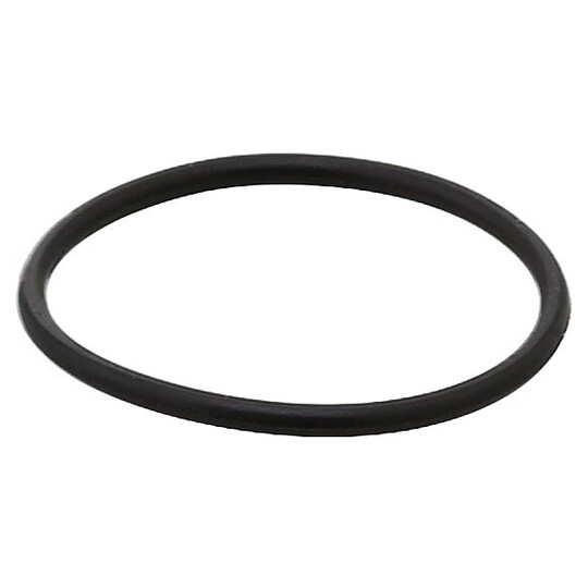 311.320 - Seal Ring 