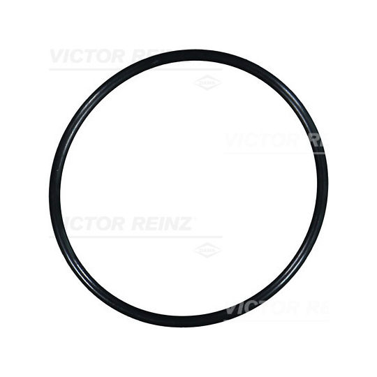 40-76108-00 - Seal Ring 