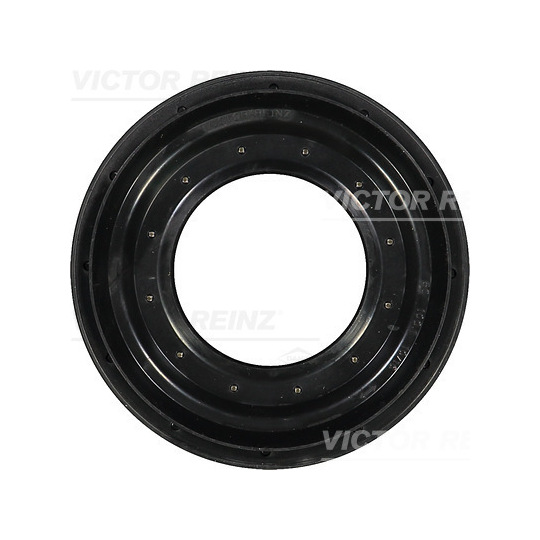81-31377-00 - Shaft Seal, differential 