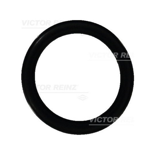 40-76473-00 - Seal Ring 