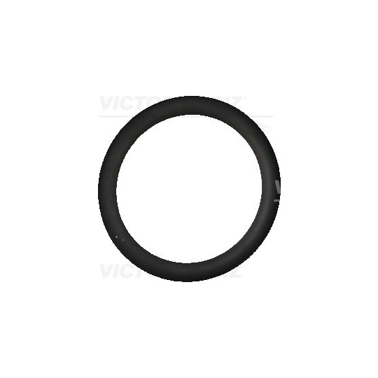 40-76325-10 - Seal Ring 