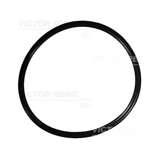 40-76121-00 - Seal Ring 