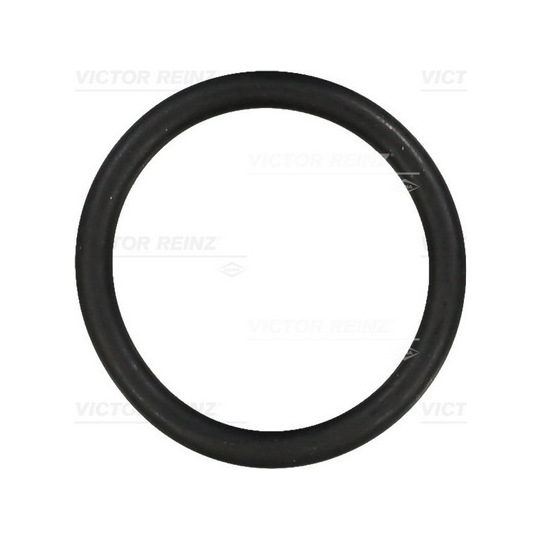 40-76313-00 - Seal Ring 