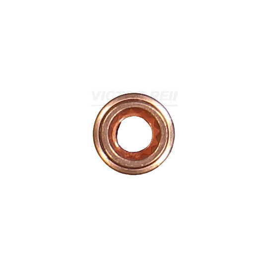 70-12276-00 - Seal Ring, valve stem 