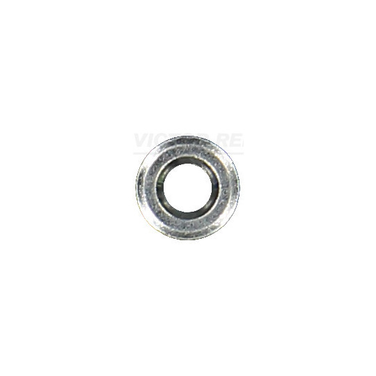 70-16736-00 - Seal Ring, injector 