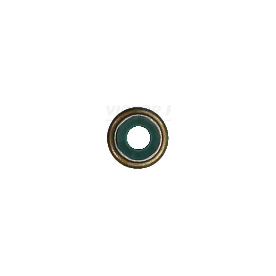 70-17719-00 - Seal Ring, valve stem 