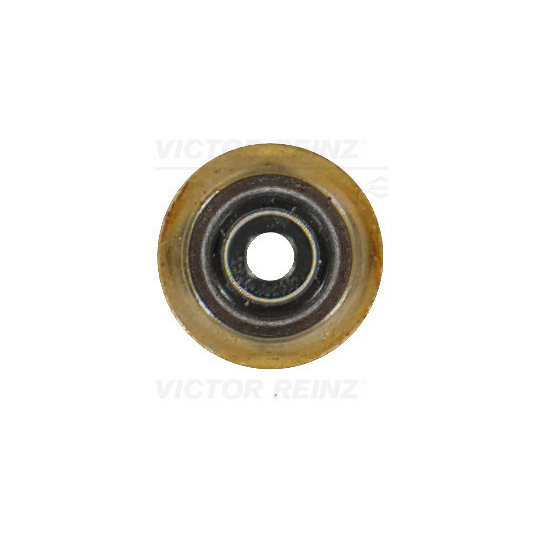 70-19255-00 - Seal Ring, valve stem 