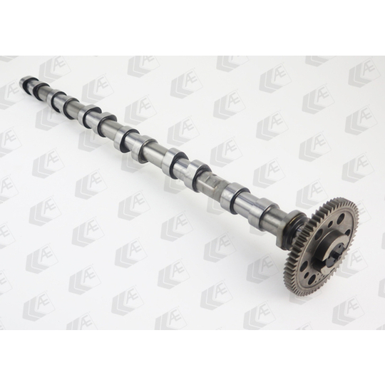 CAM1017 - Camshaft 