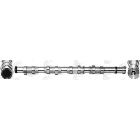 CAM1001 - Camshaft 