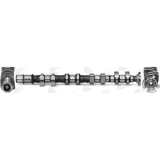 CAM1013 - Camshaft 