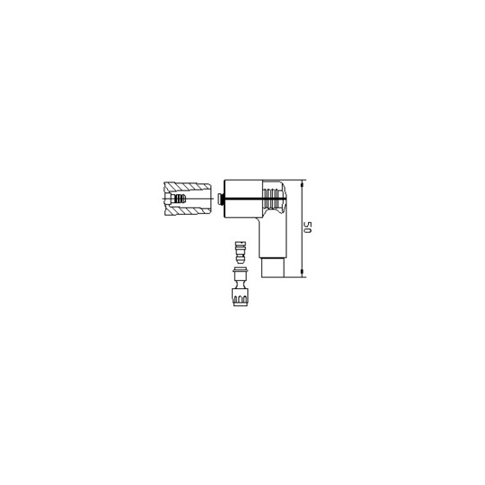 13270A1 - Plug, coil 