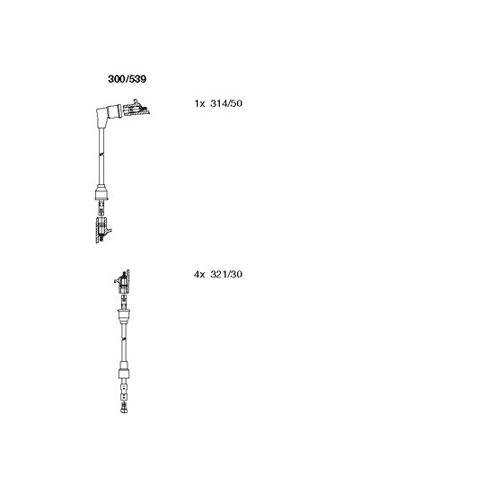 300/539 - Süütesüsteemikomplekt 