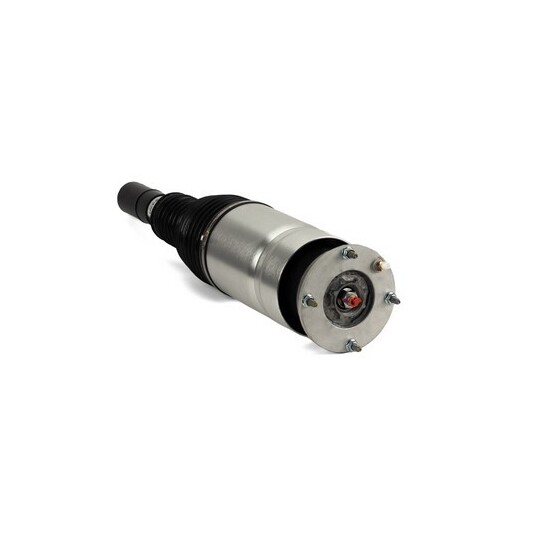 AS-3067 - Air Spring Strut 