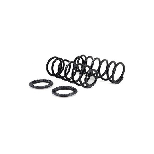 C-2410 - Suspension Kit, coil springs 