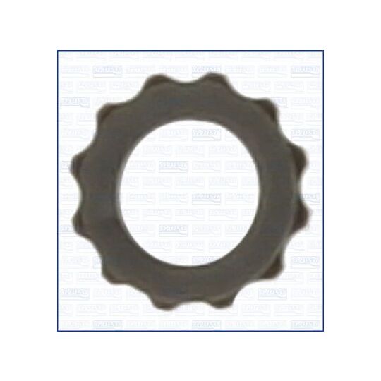 00897300 - Gasket / Seal 