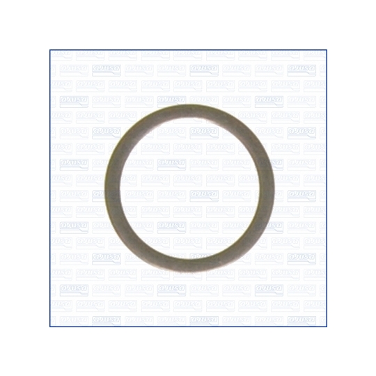 22010300 - Seal Ring, oil drain plug 