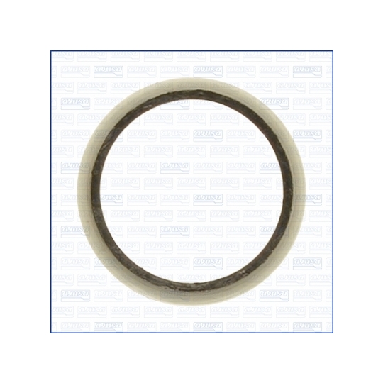 01166200 - Gasket, charger 