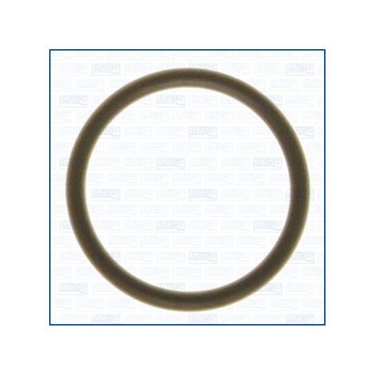 16020800 - Seal Ring, oil drain plug 