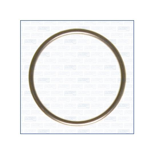 18006800 - Gasket, charger 