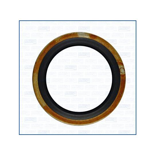 20005600 - Seal Ring, oil drain plug 