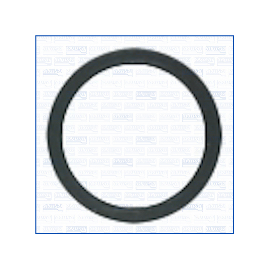 01460800 - O-ring, instrutning 