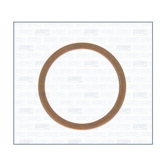 21020900 - Seal Ring, oil drain plug 