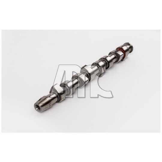 613203 - Camshaft 