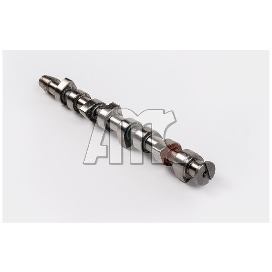 613203 - Camshaft 