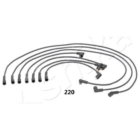 132-02-220 - Ignition Cable Kit 