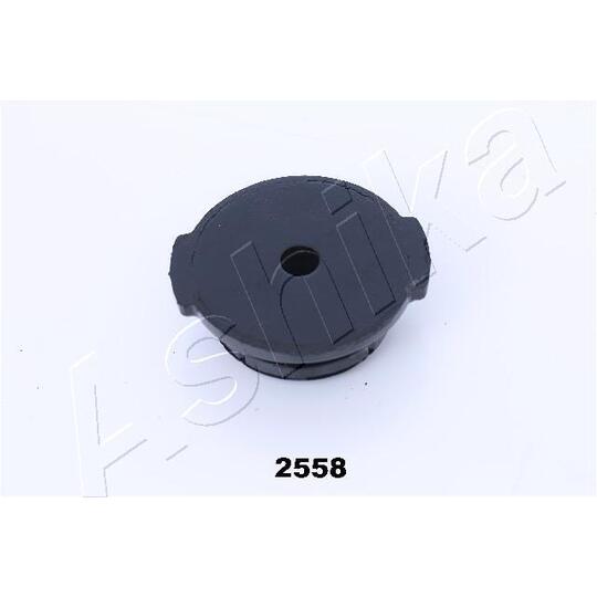 GOM-2558 - Mounting, differential 