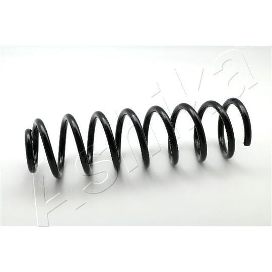 ZCA3160G - Coil Spring 