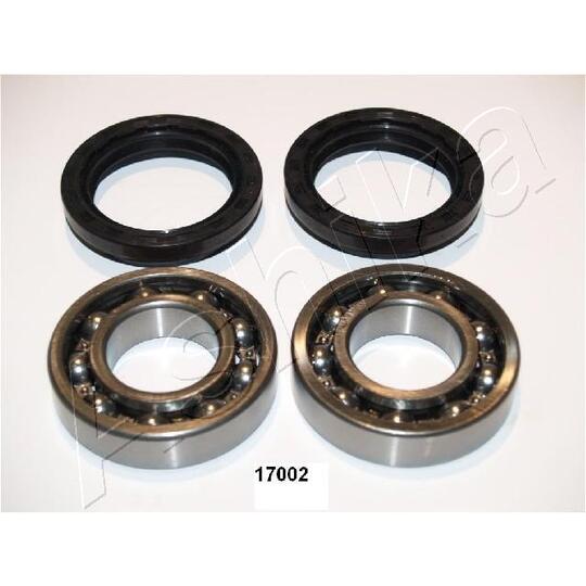 44-17002 - Wheel Bearing Kit 