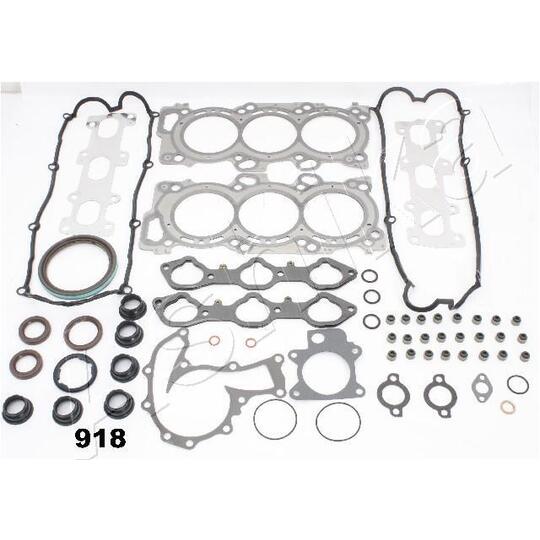 49-09-918 - Full Gasket Set, engine 