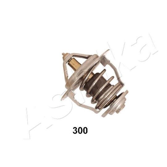 38-03-300 - Thermostat, coolant 