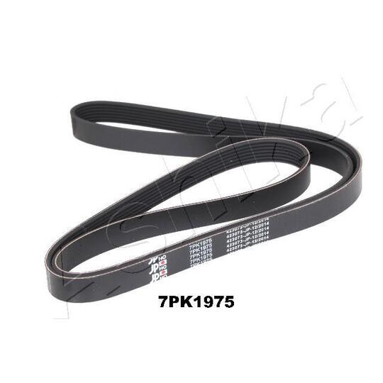 112-7PK1975 - V-Ribbed Belt 