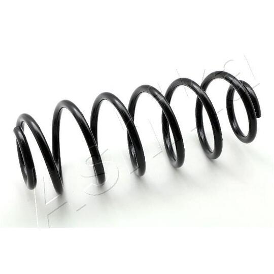 ZCA6618H - Coil Spring 