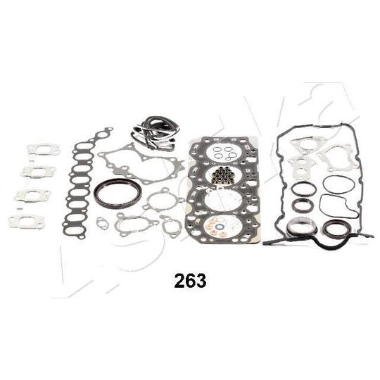 49-02-263 - Full Gasket Set, engine 