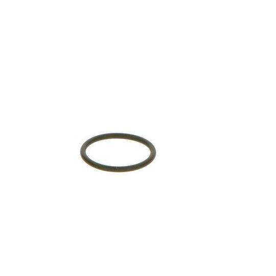 F 00V C38 042 - Seal Ring 