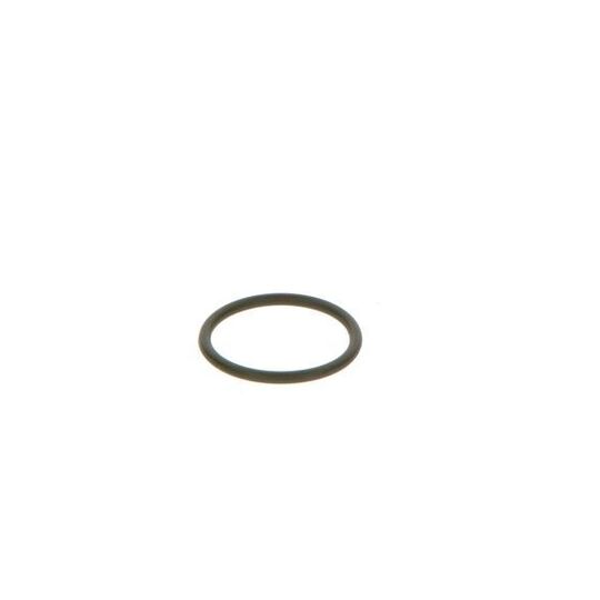 F 00V C38 042 - Seal Ring 