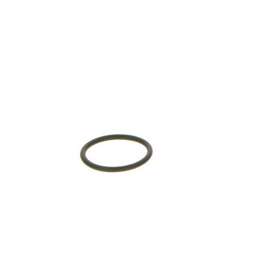 F 00V C38 042 - Seal Ring 